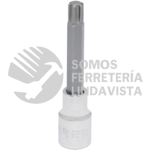 5443-14M DADO CON PUNTA RIBE CUADRO DE 1/2", M14 URREA